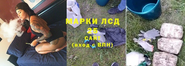 гидра Алексин