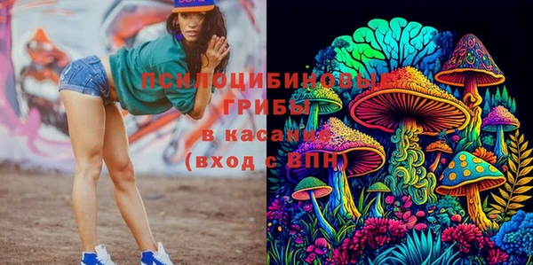 гидра Алексин