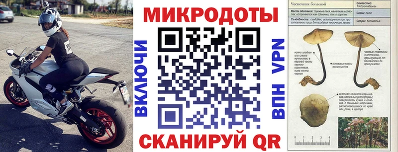 Псилоцибиновые грибы Psilocybine cubensis Кореновск
