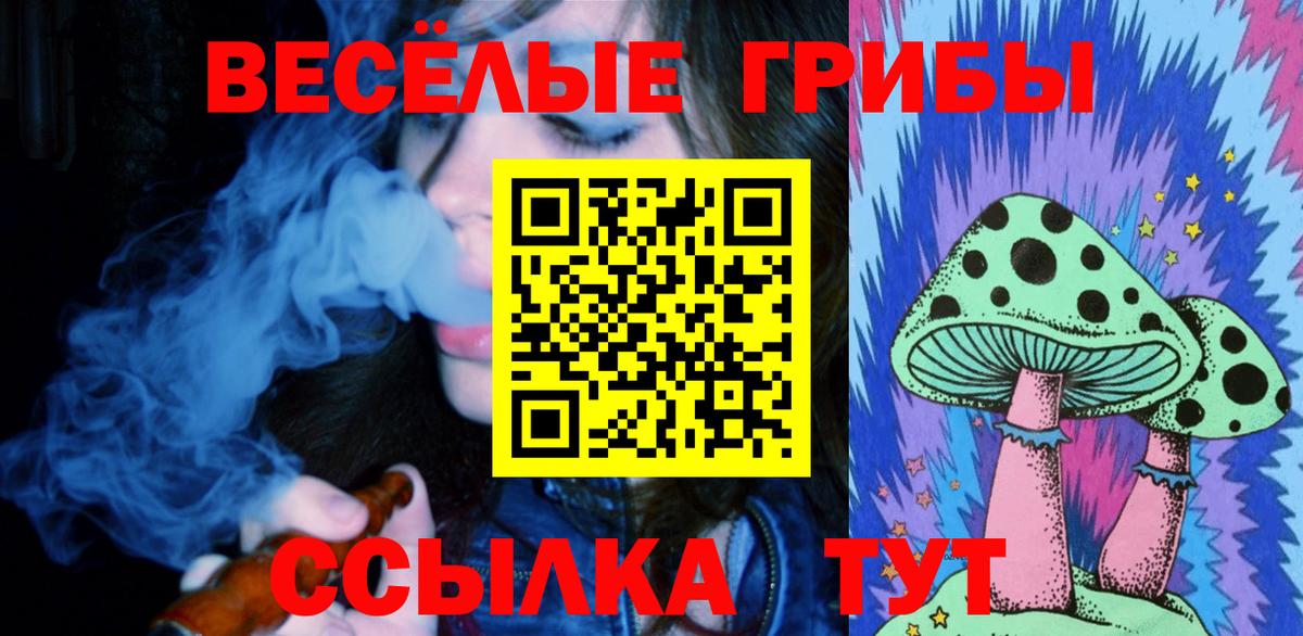 Кореновск  даркнет сайт  Вход с VPN  Галлюциногенные грибы MAGIC MUSHROOMS 