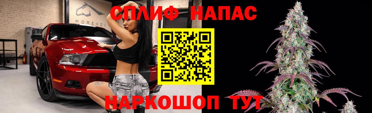 Конопля план Кореновск
